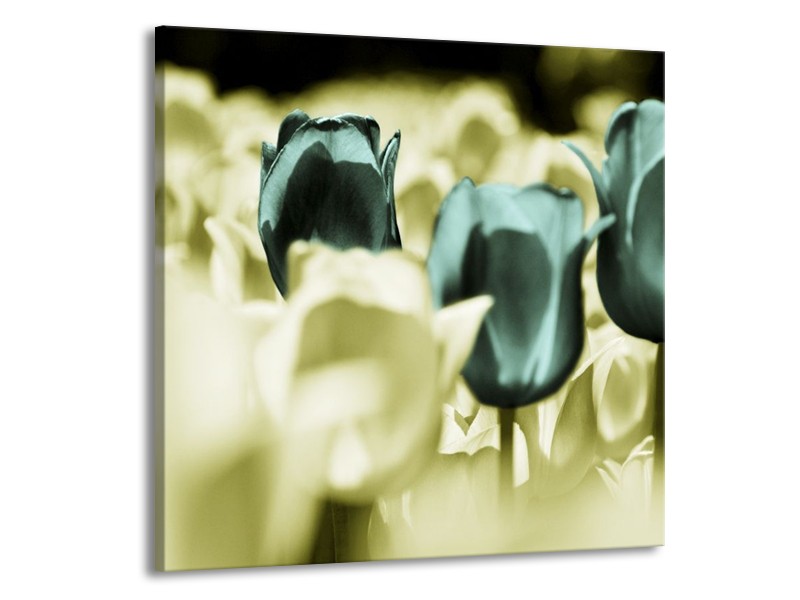 Canvas schilderij Tulp | Blauw, Zwart, Groen | 70x70cm 1Luik