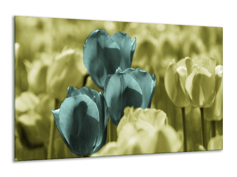 Canvas schilderij Tulp | Blauw, Zwart, Groen | 120x70cm 1Luik