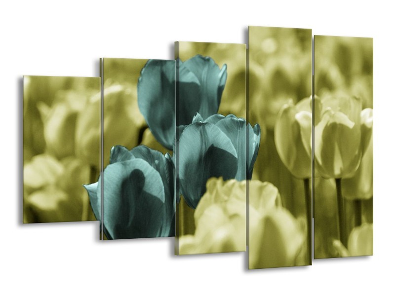 Canvas schilderij Tulp | Blauw, Zwart, Groen | 150x100cm 5Luik