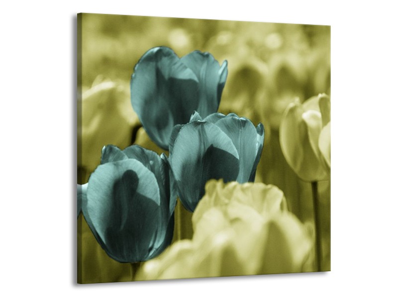 Canvas schilderij Tulp | Blauw, Zwart, Groen | 70x70cm 1Luik