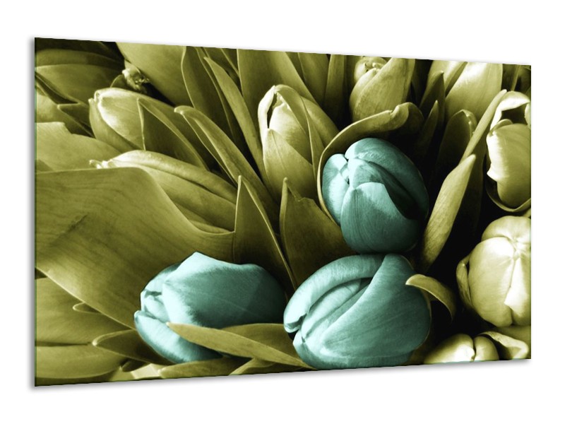 Canvas schilderij Tulp | Blauw, Zwart, Groen | 120x70cm 1Luik