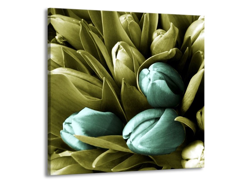 Canvas schilderij Tulp | Blauw, Zwart, Groen | 70x70cm 1Luik