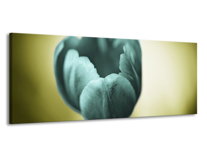 Canvas schilderij Tulp | Blauw, Zwart, Groen | 145x58cm 1Luik
