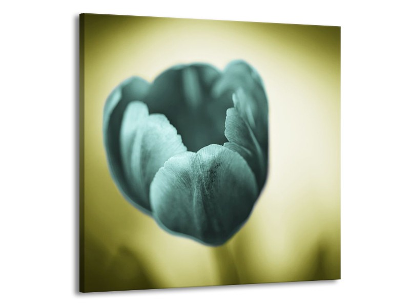 Canvas schilderij Tulp | Blauw, Zwart, Groen | 70x70cm 1Luik