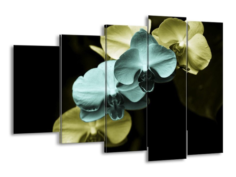Canvas schilderij Orchidee | Blauw, Zwart, Groen | 150x100cm 5Luik