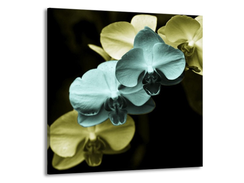 Canvas schilderij Orchidee | Blauw, Zwart, Groen | 70x70cm 1Luik