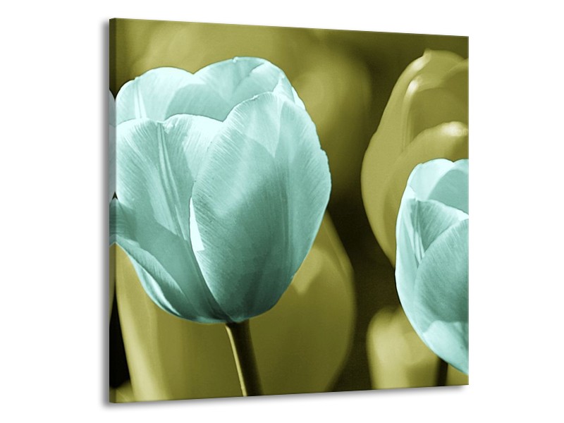 Canvas schilderij Tulp | Blauw, Zwart, Groen | 70x70cm 1Luik