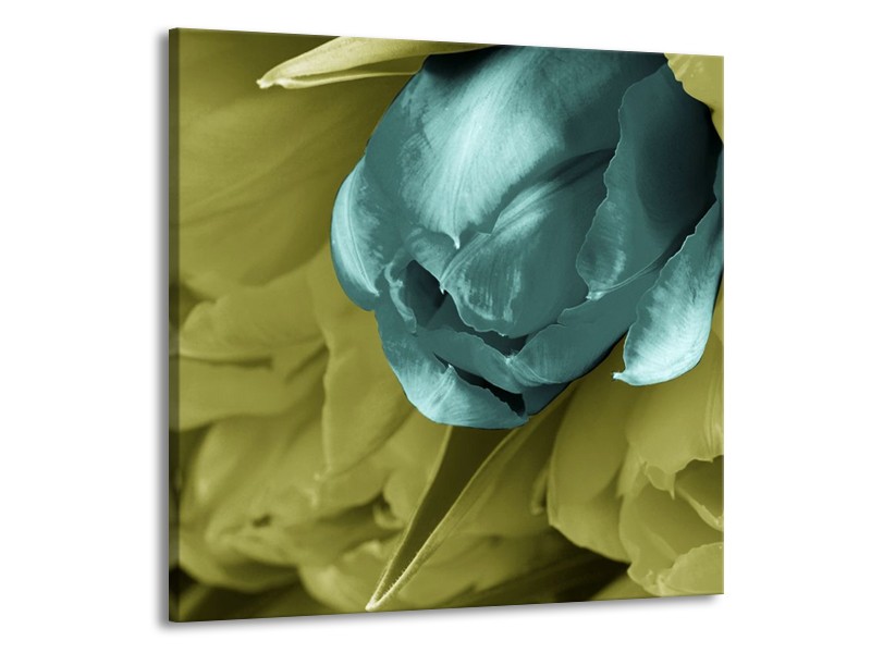 Canvas schilderij Tulp | Blauw, Zwart, Groen | 70x70cm 1Luik