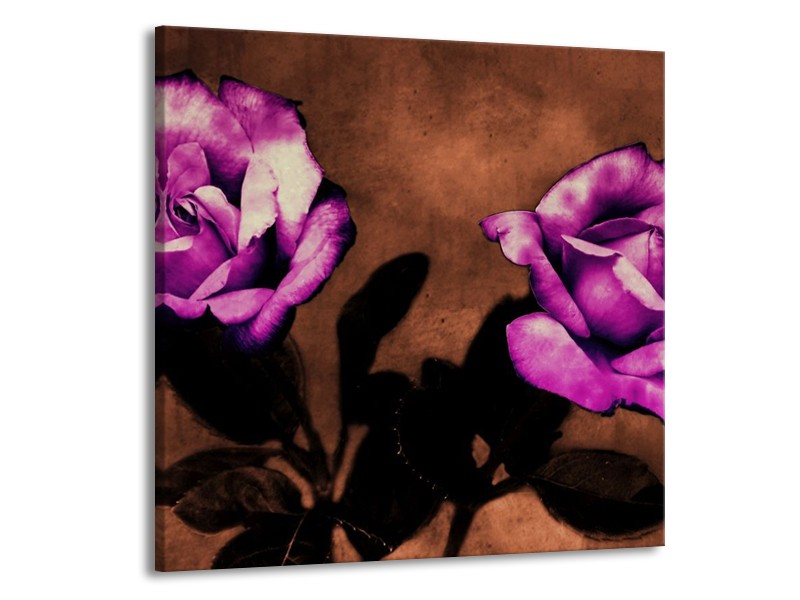 Canvas schilderij Roos | Paars, Bruin, Wit | 70x70cm 1Luik