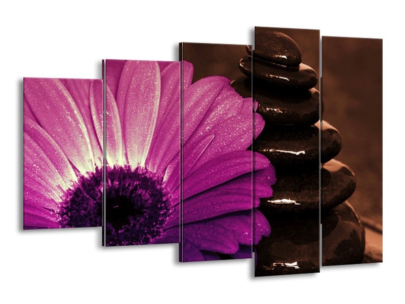 Canvas schilderij Bloem | Paars, Bruin, Wit | 150x100cm 5Luik
