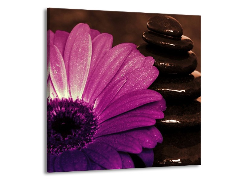 Canvas schilderij Bloem | Paars, Bruin, Wit | 70x70cm 1Luik