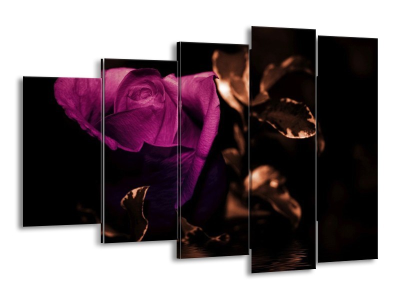 Canvas schilderij Roos | Paars, Bruin, Wit | 150x100cm 5Luik