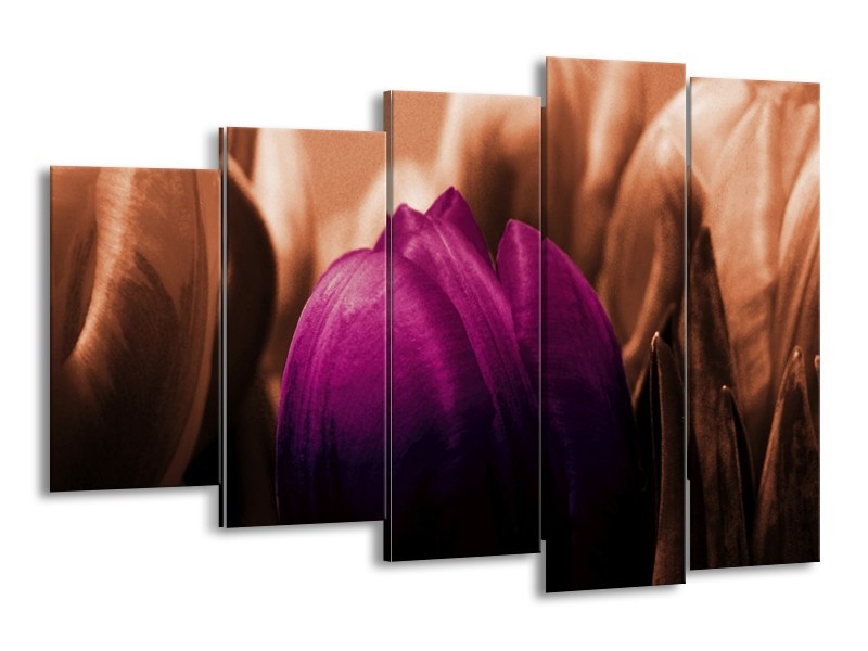 Canvas schilderij Tulp | Paars, Bruin, Wit | 150x100cm 5Luik