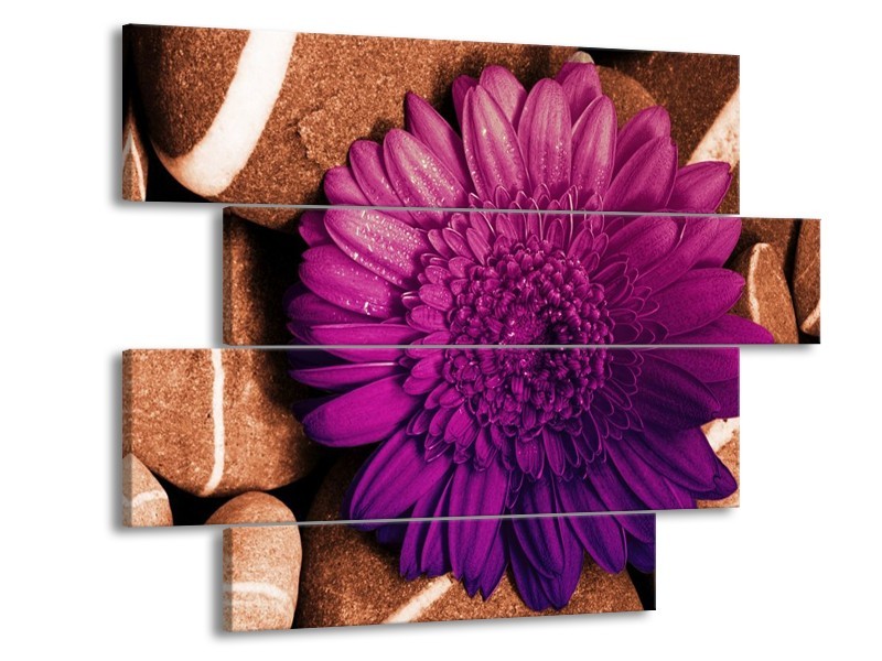 Canvas schilderij Bloem | Paars, Bruin, Wit | 115x85cm 4Luik