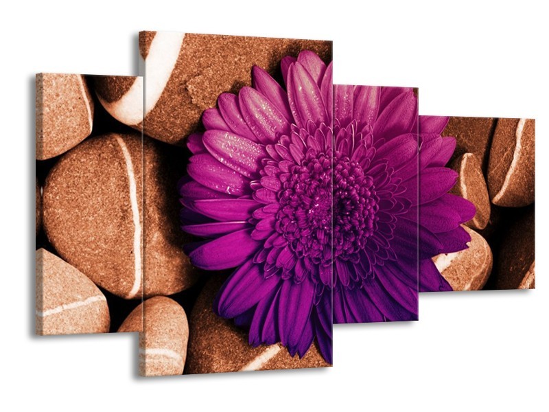 Canvas schilderij Bloem | Paars, Bruin, Wit | 120x75cm 4Luik