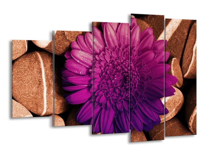 Canvas schilderij Bloem | Paars, Bruin, Wit | 150x100cm 5Luik