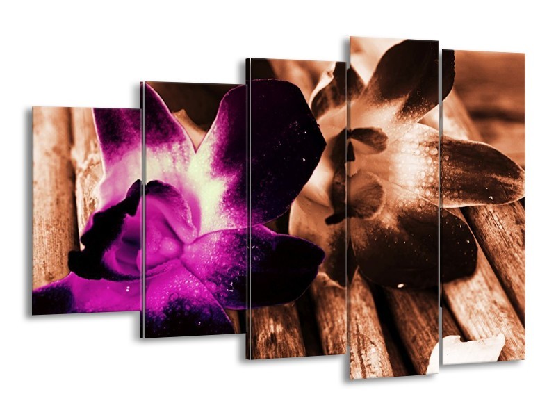 Canvas schilderij Bloem | Paars, Bruin, Wit | 150x100cm 5Luik