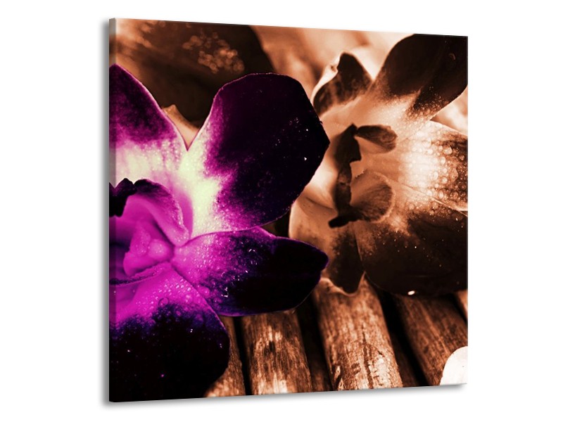 Canvas schilderij Bloem | Paars, Bruin, Wit | 70x70cm 1Luik