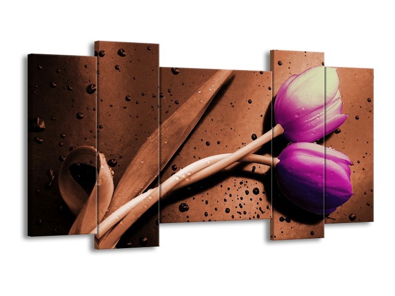 Canvas schilderij Tulp | Paars, Bruin, Wit | 120x65 5Luik