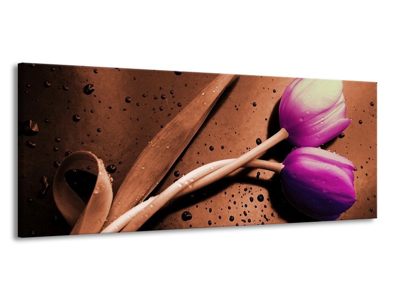 Canvas schilderij Tulp | Paars, Bruin, Wit | 145x58cm 1Luik