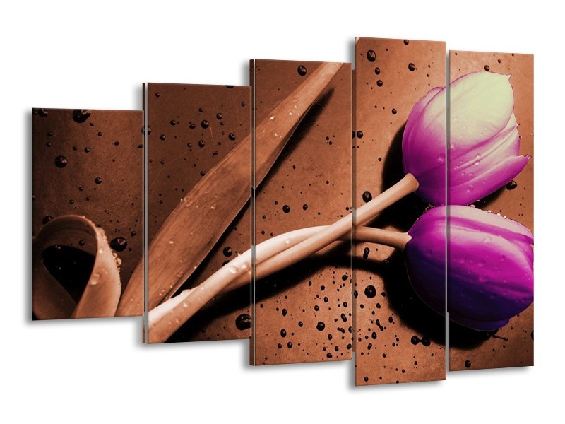 Canvas schilderij Tulp | Paars, Bruin, Wit | 150x100cm 5Luik