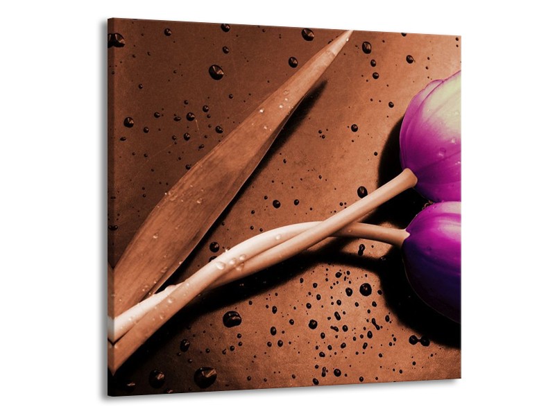 Canvas schilderij Tulp | Paars, Bruin, Wit | 70x70cm 1Luik