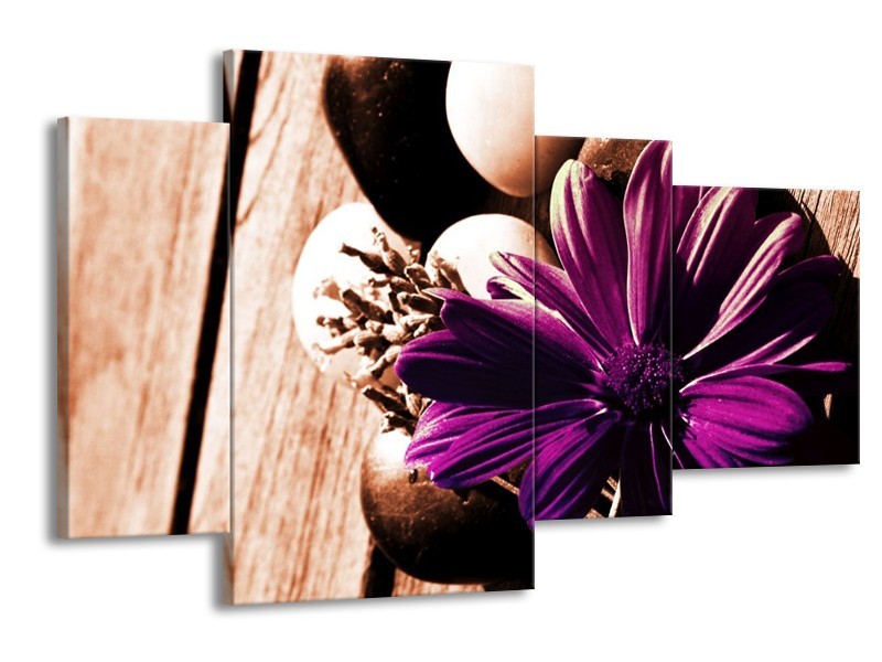 Canvas schilderij Bloem | Paars, Bruin, Wit | 120x75cm 4Luik