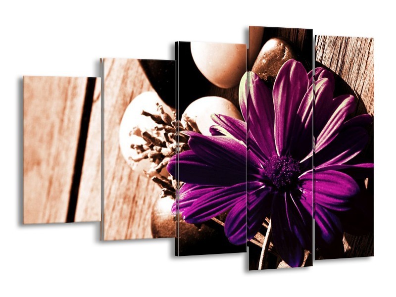 Canvas schilderij Bloem | Paars, Bruin, Wit | 150x100cm 5Luik