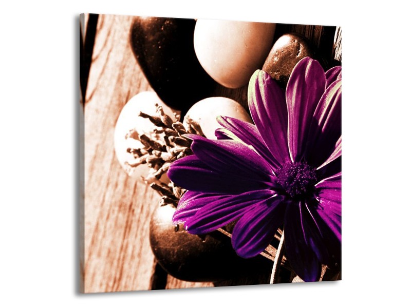 Canvas schilderij Bloem | Paars, Bruin, Wit | 70x70cm 1Luik