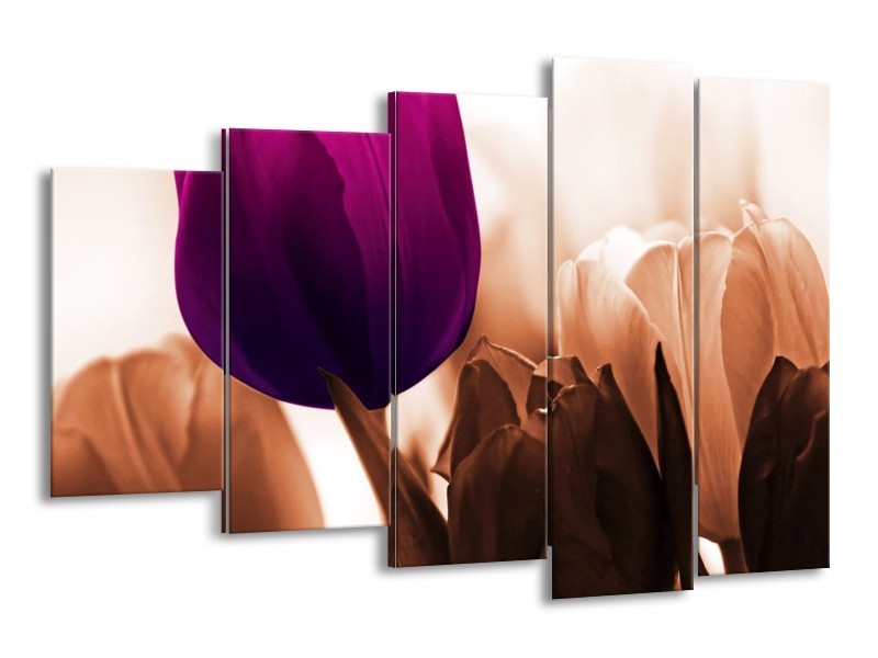 Canvas schilderij Tulp | Paars, Bruin, Wit | 150x100cm 5Luik