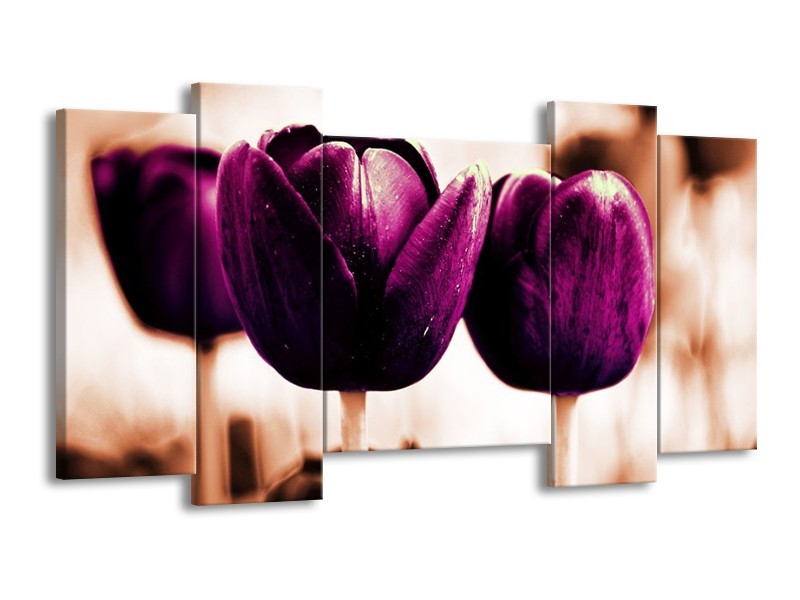Canvas schilderij Tulp | Paars, Bruin, Wit | 120x65 5Luik