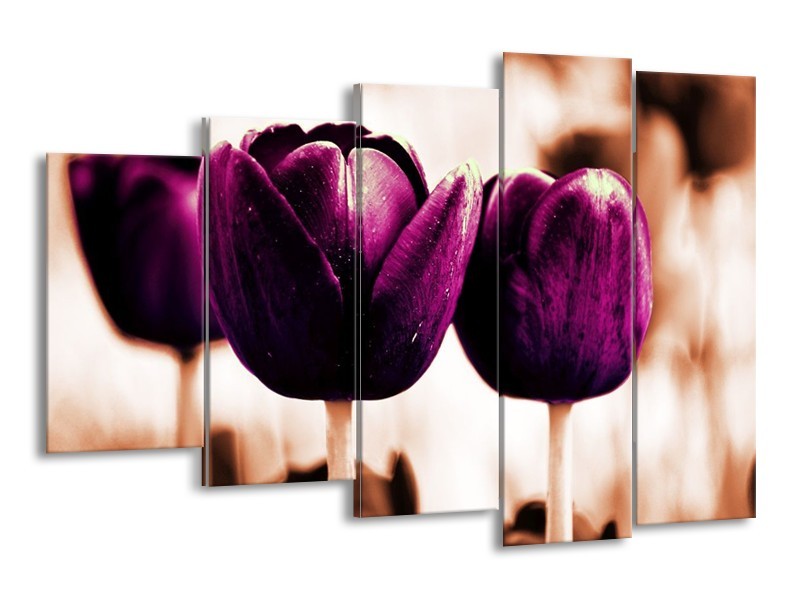 Canvas schilderij Tulp | Paars, Bruin, Wit | 150x100cm 5Luik