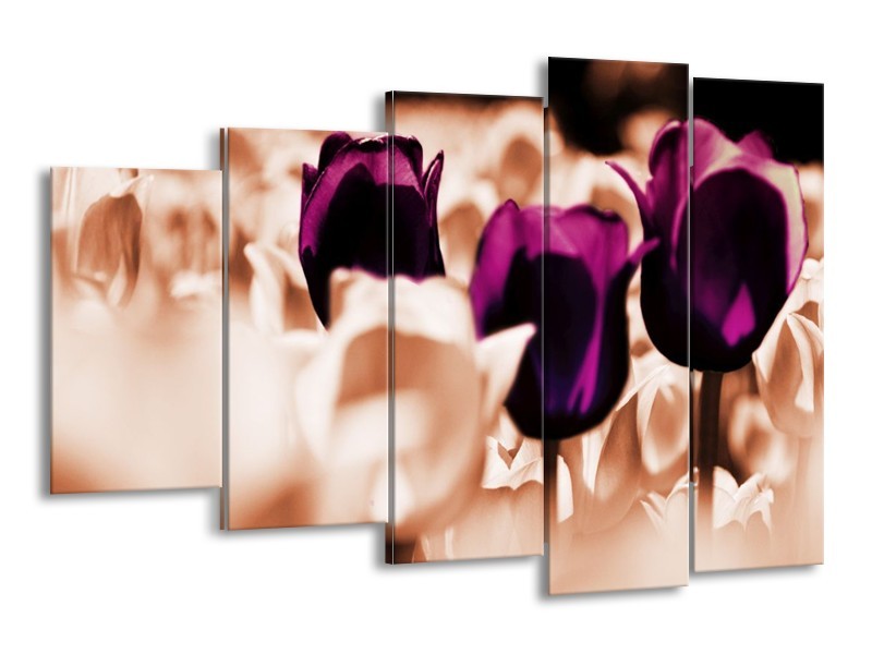 Canvas schilderij Tulp | Paars, Bruin, Wit | 150x100cm 5Luik