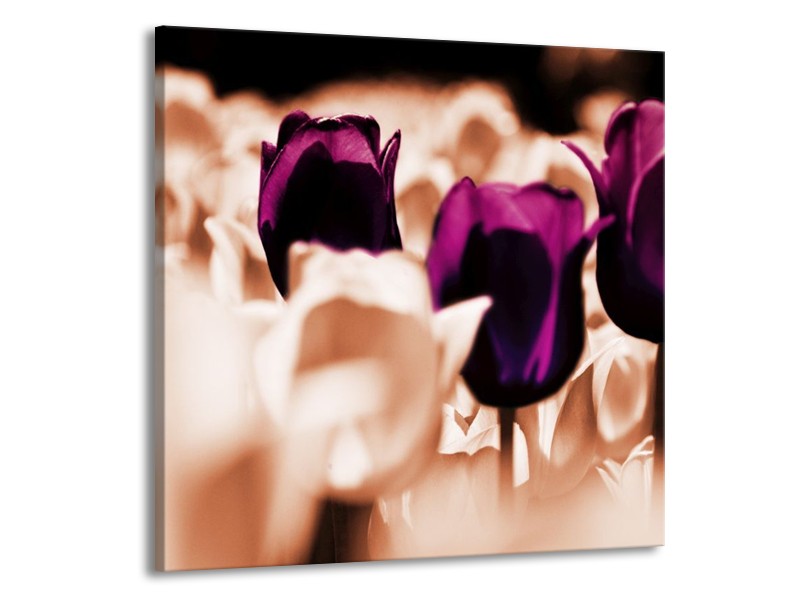 Canvas schilderij Tulp | Paars, Bruin, Wit | 70x70cm 1Luik
