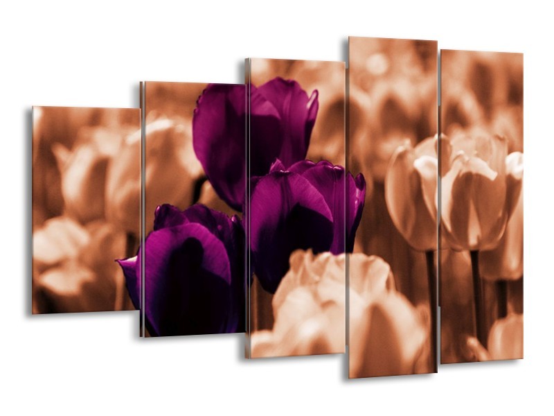 Canvas schilderij Tulp | Paars, Bruin, Wit | 150x100cm 5Luik