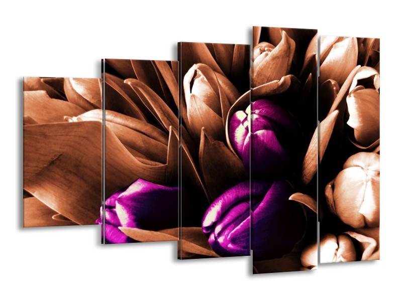 Canvas schilderij Tulp | Paars, Bruin, Wit | 150x100cm 5Luik