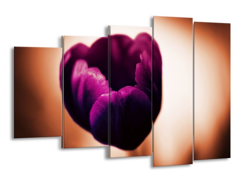 Canvas schilderij Tulp | Paars, Bruin, Wit | 150x100cm 5Luik