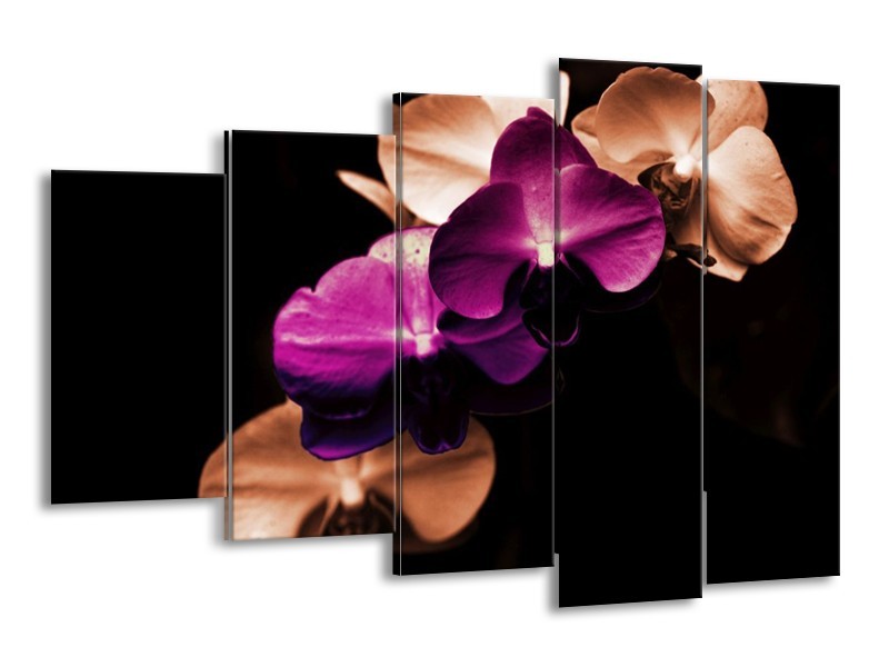 Canvas schilderij Orchidee | Paars, Bruin, Wit | 150x100cm 5Luik