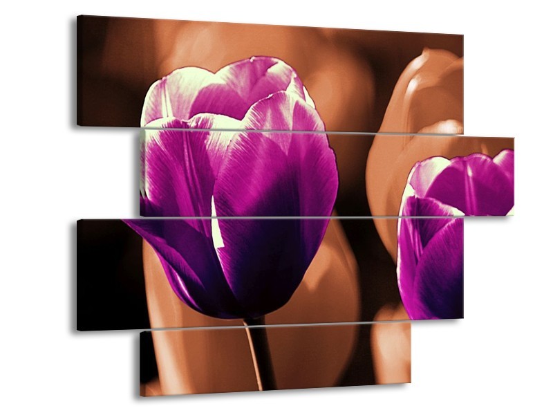Canvas schilderij Tulp | Paars, Bruin, Wit | 115x85cm 4Luik
