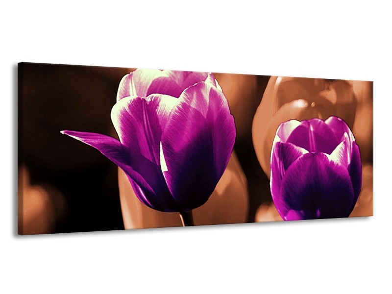 Canvas schilderij Tulp | Paars, Bruin, Wit | 145x58cm 1Luik