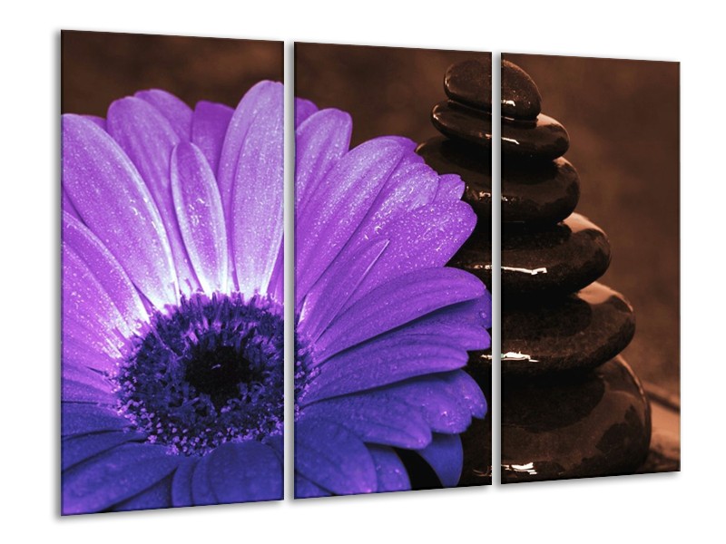 Canvas schilderij Bloem | Paars, Bruin, Wit | 120x80cm 3Luik