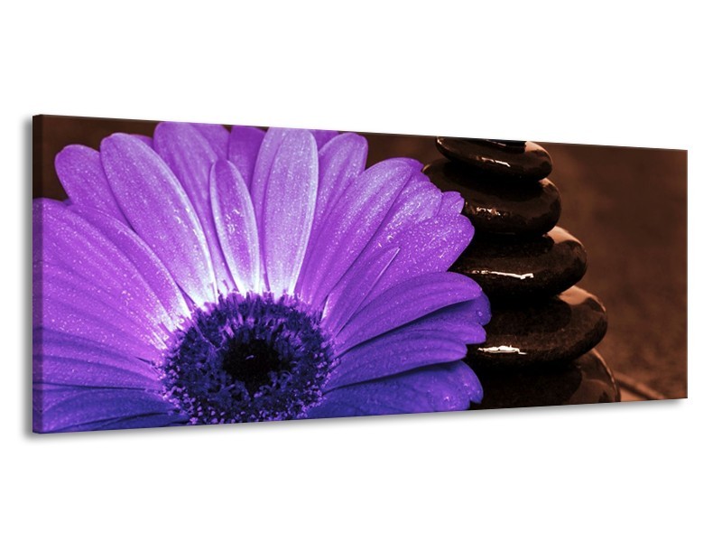 Canvas schilderij Bloem | Paars, Bruin, Wit | 145x58cm 1Luik