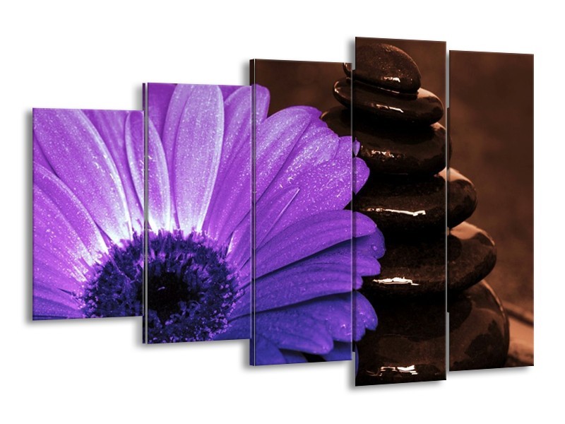 Canvas schilderij Bloem | Paars, Bruin, Wit | 150x100cm 5Luik