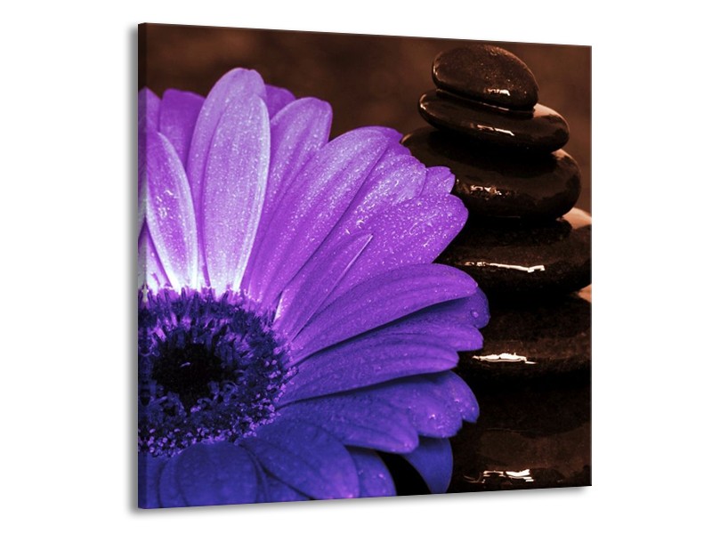 Canvas schilderij Bloem | Paars, Bruin, Wit | 70x70cm 1Luik