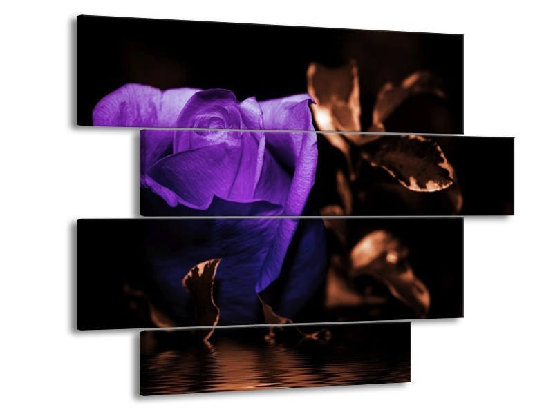 Canvas schilderij Roos | Paars, Bruin, Wit | 115x85cm 4Luik