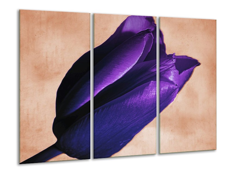 Canvas schilderij Tulp | Paars, Bruin, Wit | 120x80cm 3Luik