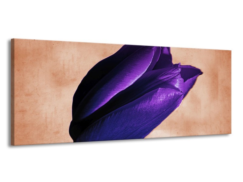 Canvas schilderij Tulp | Paars, Bruin, Wit | 145x58cm 1Luik