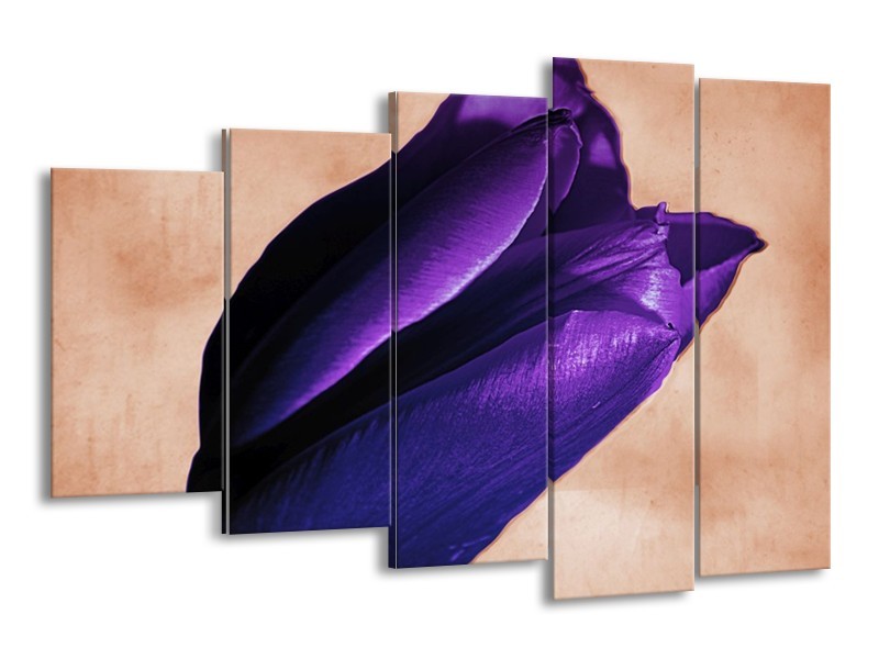 Canvas schilderij Tulp | Paars, Bruin, Wit | 150x100cm 5Luik