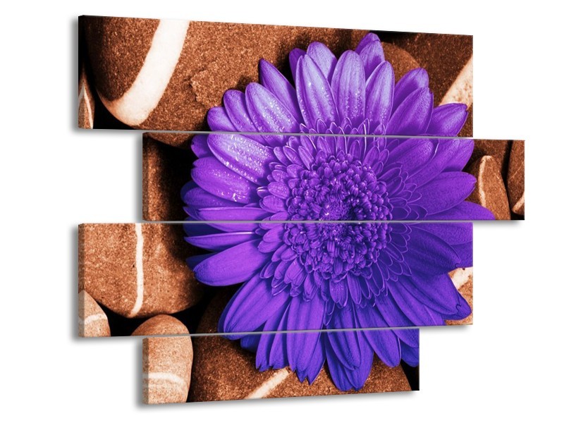 Canvas schilderij Bloem | Paars, Bruin, Wit | 115x85cm 4Luik