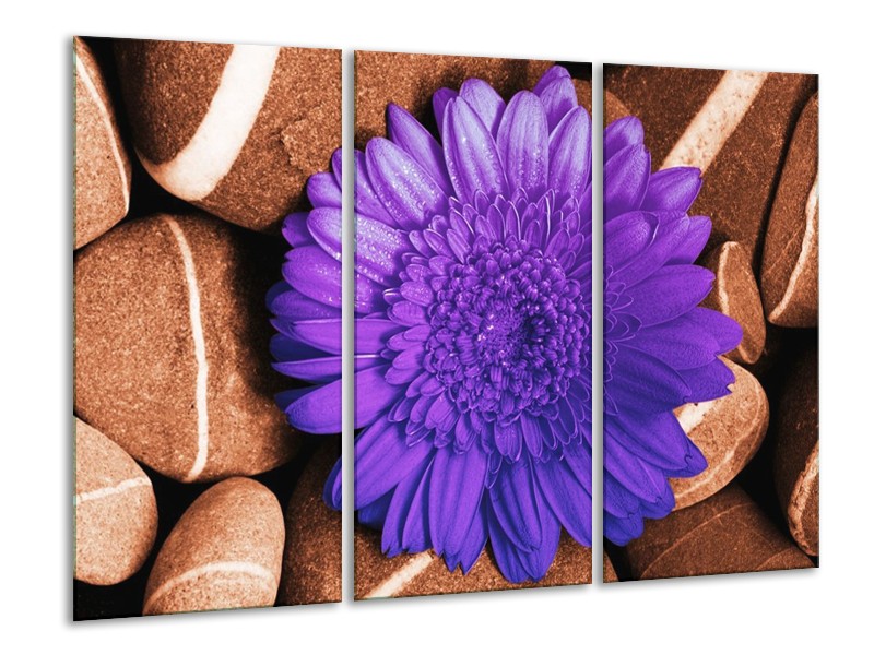 Canvas schilderij Bloem | Paars, Bruin, Wit | 120x80cm 3Luik